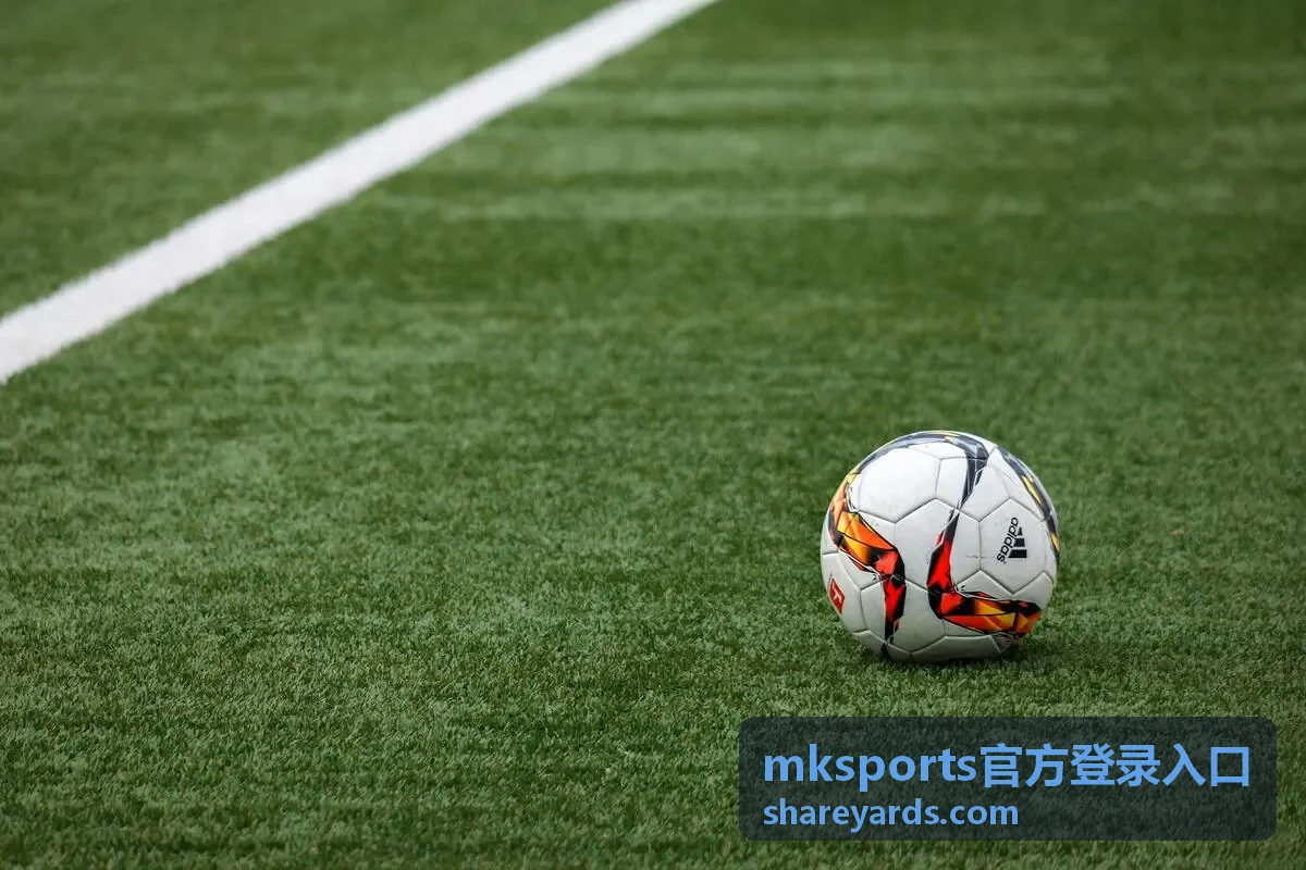 mksports官方登录入口登录环境准备示意