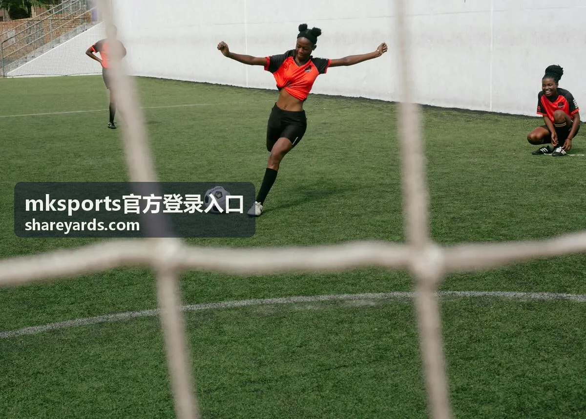 mksports官方登录入口账号信息填写示意