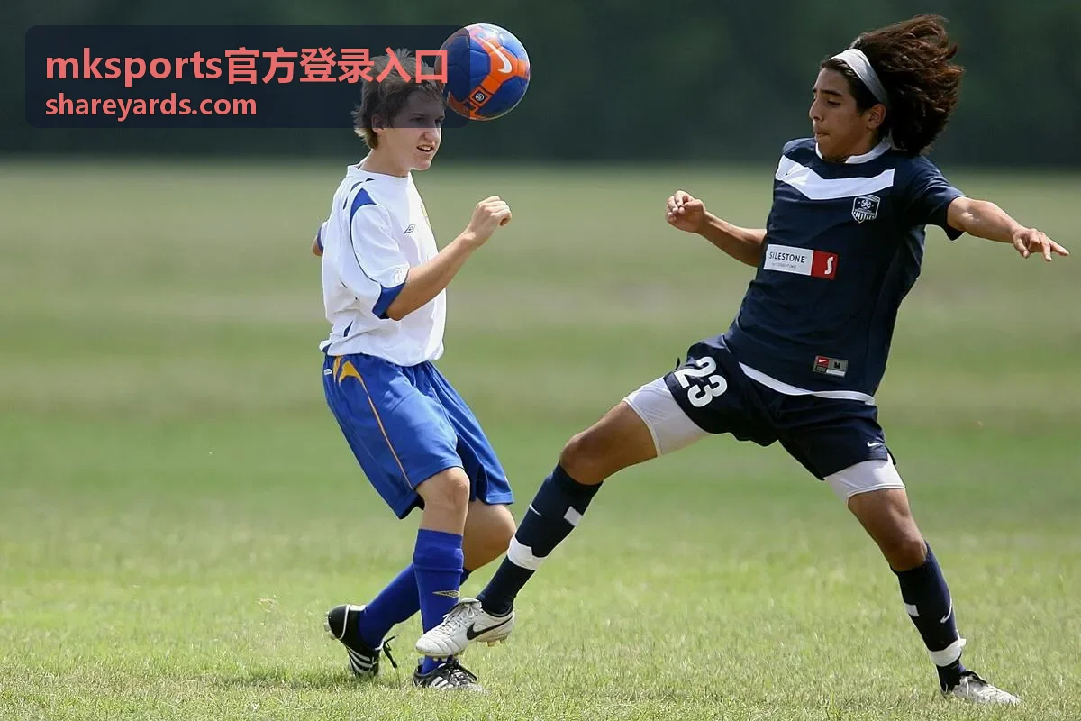 mksports官方登录入口常见问题解答配图